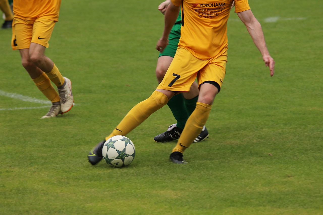 牌的一部分 牌的一部分