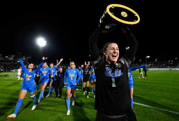 他凭借开放 他凭借开放