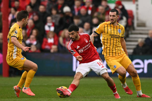 部分球迷期 部分球迷期