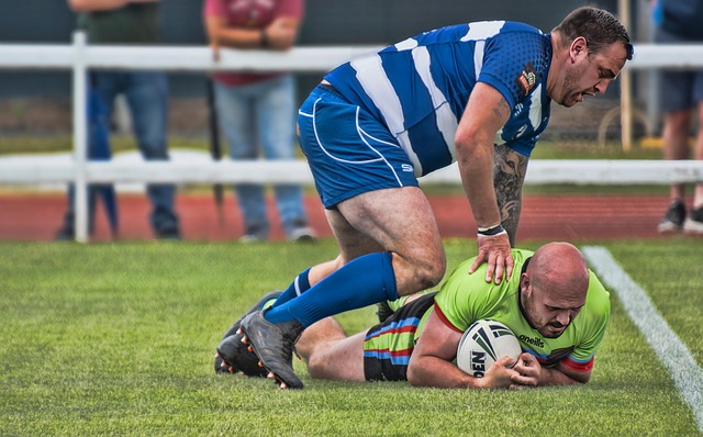 其商业价值 其商业价值