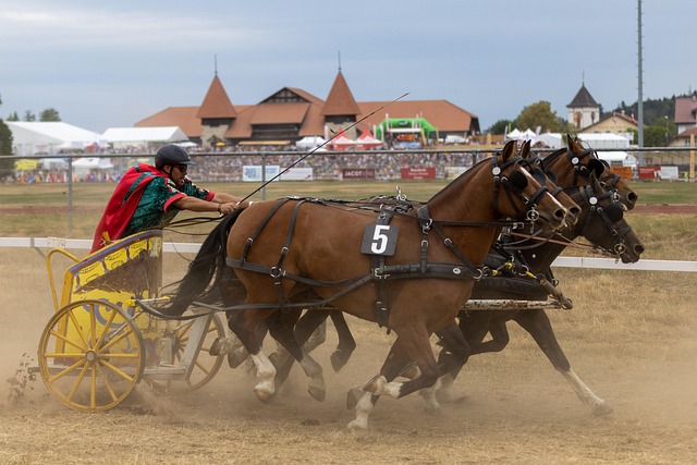 在这个关键 在这个关键
